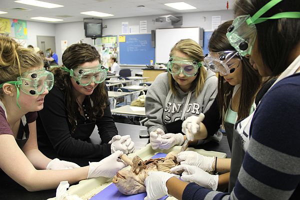 B.Sc Zoology